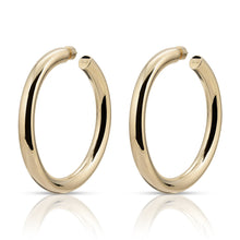 Load image into Gallery viewer, 2&quot; Ryan Hoops